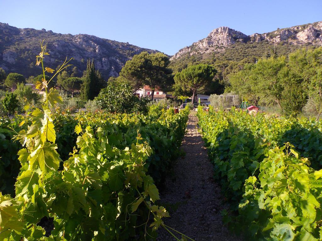 Готель Au Havre De Paix Sainte Victoire Vauvenargues Екстер'єр фото