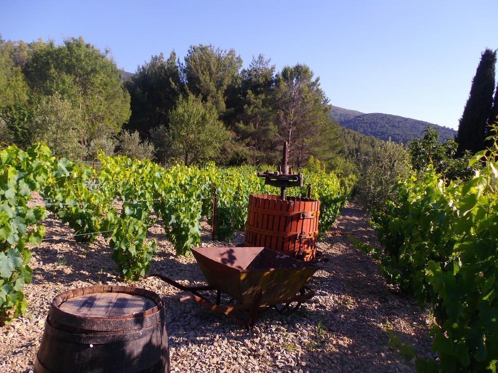Готель Au Havre De Paix Sainte Victoire Vauvenargues Екстер'єр фото